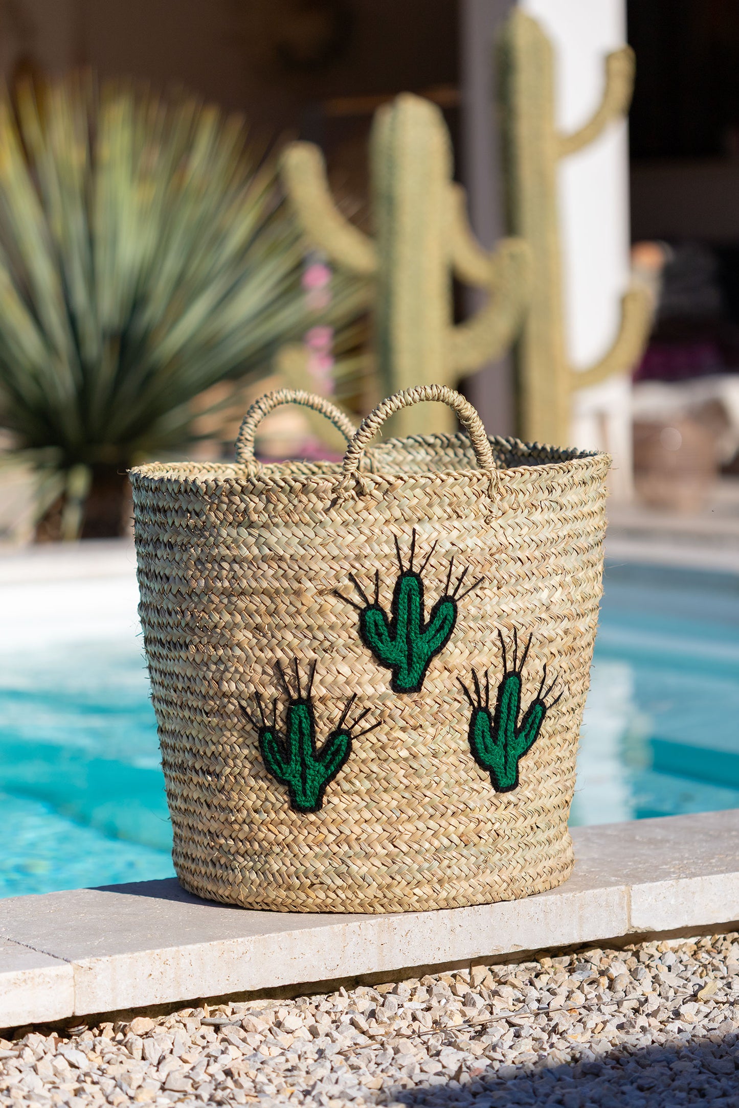 Panier cactus