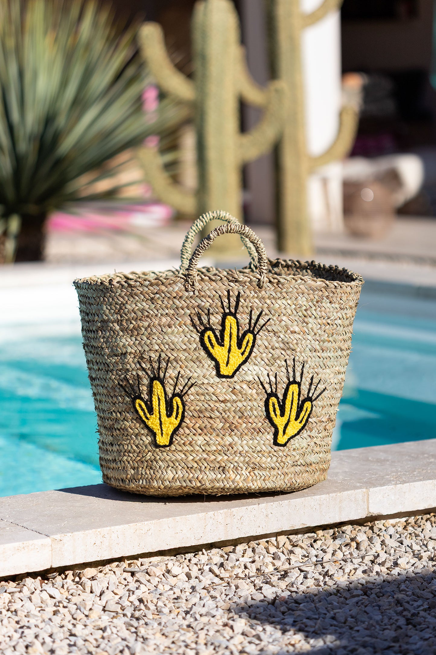 Panier cactus