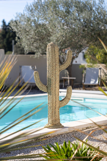Cactus décoratif