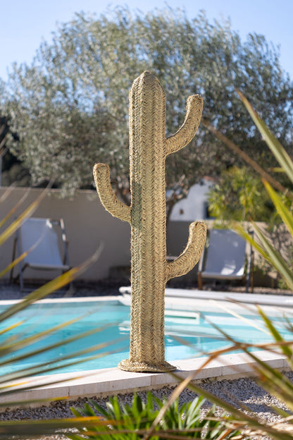 Cactus décoratif